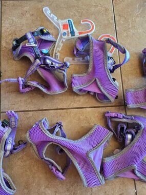 Dog Harness